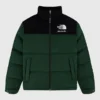 ALD x The North Face Casentino Nuptse Jacket