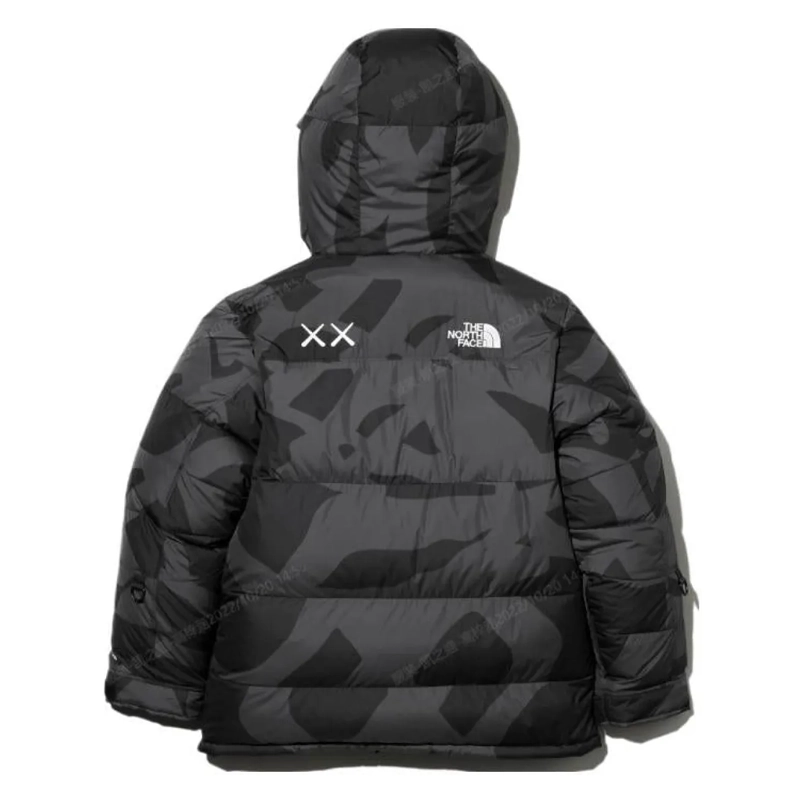 KAWS x The North Face Black Jacket 2025