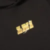 Lando Norris Champion Hoodie For 2025
