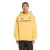 Adidas Winter Olympics 2026 Team Germany Hoodie
