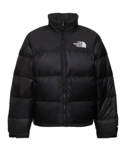 The North Face Puffer Jacket 700 For Man