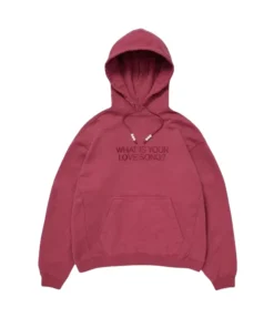 BTS Arirang What is Your Love Song Hoodie