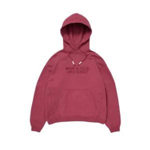 BTS Arirang What is Your Love Song Hoodie