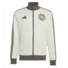 Mercedes AMG F1 Silver Arrows Icon Track Jacket