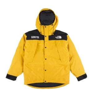 The North Face Gore Tex Jacket