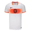 FiFA Netherlands 2026 Away Jersey