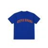 Taylor Swift Stevie Knicks Shirt