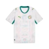 Senegal World Cup Jersey