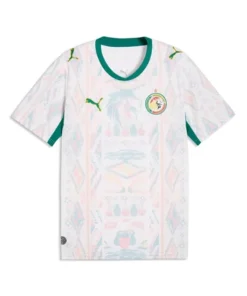 Senegal World Cup Jersey