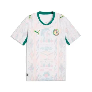Senegal World Cup Jersey