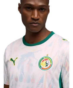 Senegal World Cup Jersey - Image 4