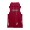Washington Commanders 2026 Sideline Sleeveless Hoodie