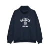 Aritzia Funnel Neck Sweatshirt