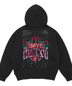 Supreme Applique Hoodie 2026 - Image 3